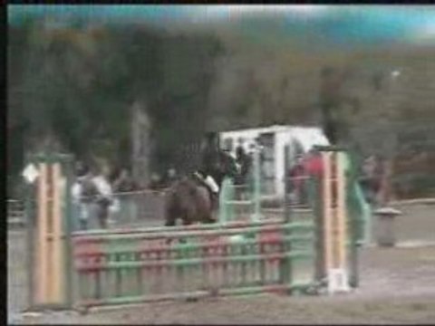 concours saut d'obstacle saint-lunaire oscar et moi club2