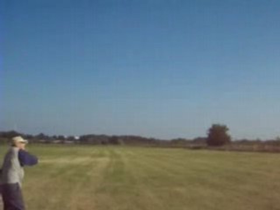 Zwei alte Recken die sich strecken  auf der Wiese !