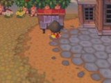 Animal Crossing City Folk
