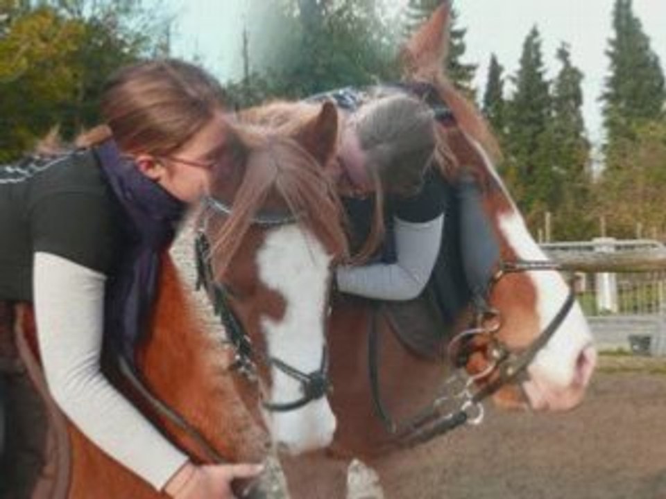 Sacha et moi
