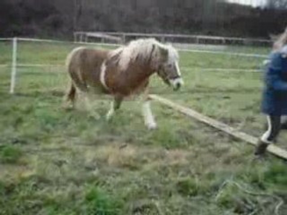 SansTitrelolo