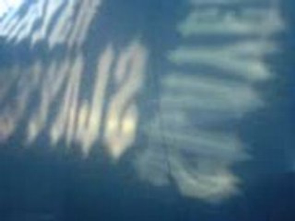 Levé de rideau de Slayer dans la fosse