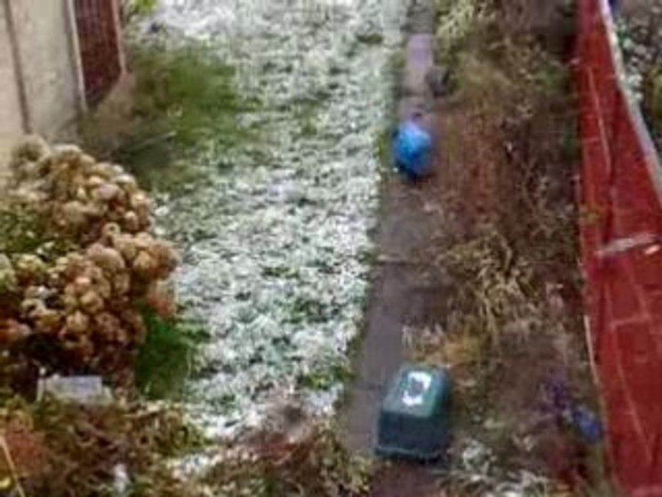 London Snow 2008 01