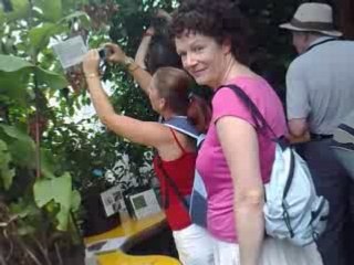 London Zoo Buterflies01