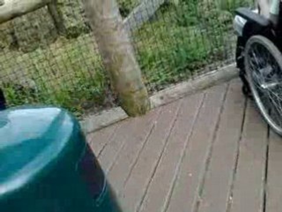London Zoo