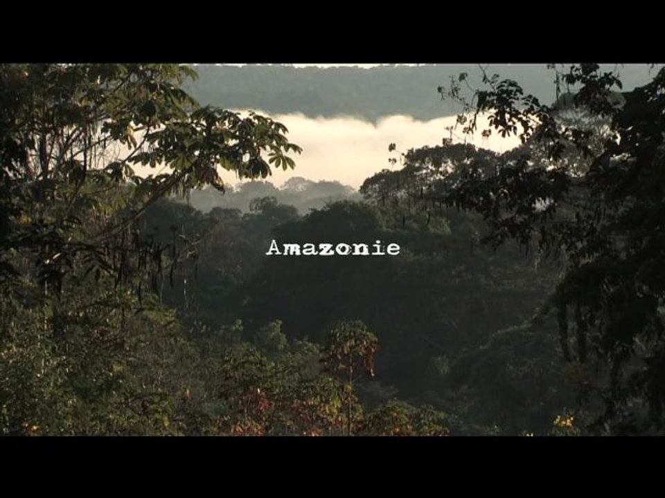 Impact des plantations de soja sur l'Amazonie