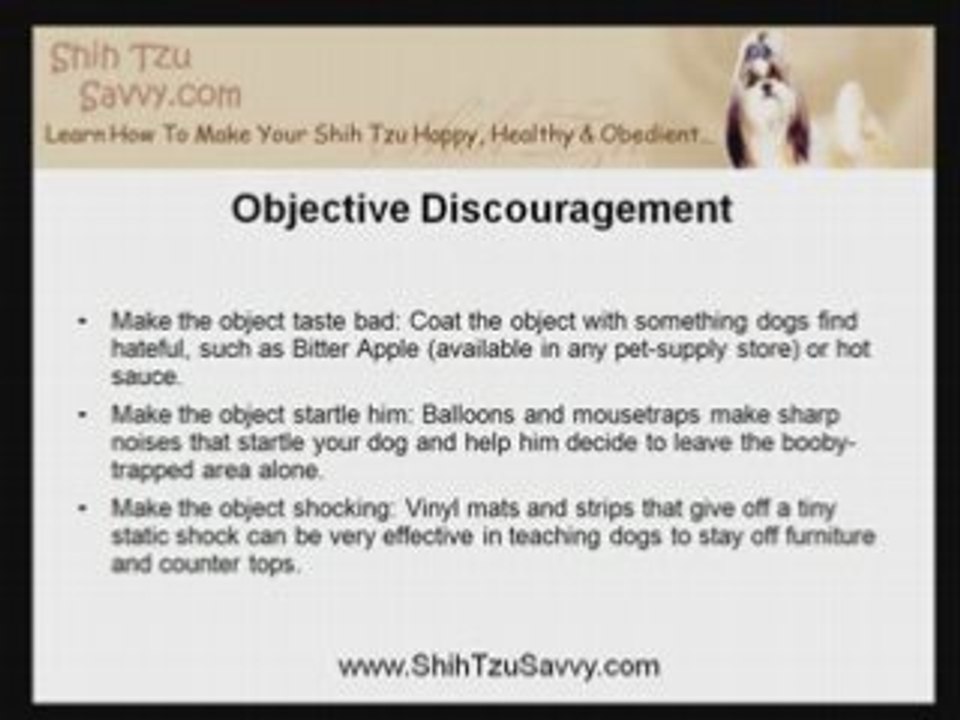 Shih Tzu Puppy Training: Substitute Bad Behavior For Good