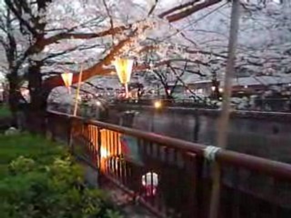 SAKURA tokyo meguro gawa