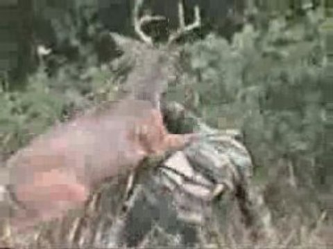 1398-ce_matin_un_chasseur