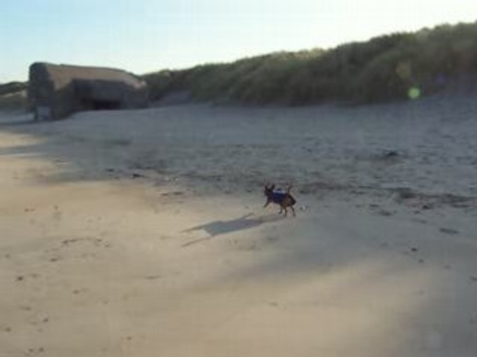 DALTON  plage3