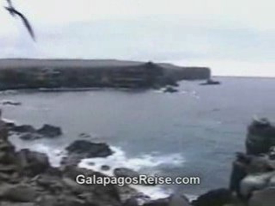 Galapagos Islands Videos by J. Meza