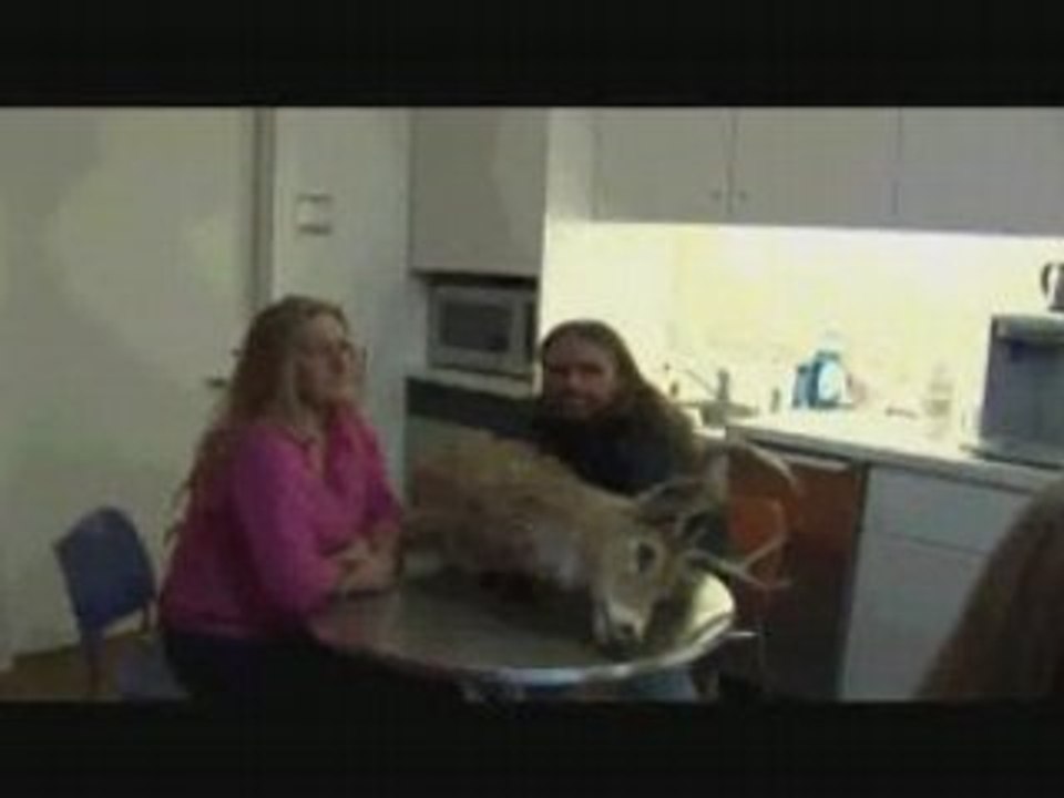 Wolfman in the Office - Lunchroom 2