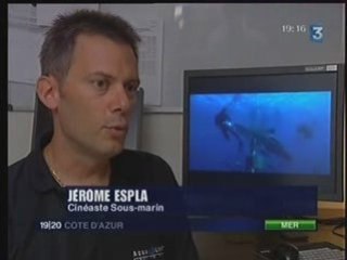 Sujet F3 requins et Jérôme ESPLA