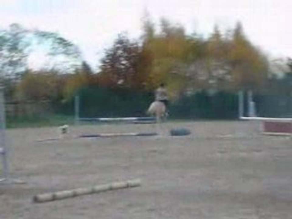 Parcours D' Obstacle