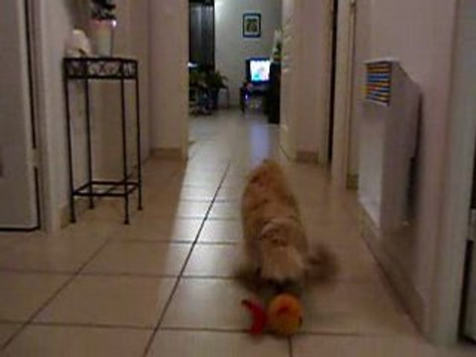 cannelle fait sa mongole