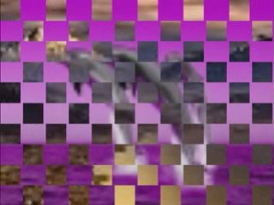 Pour mes Amies et Amis de KaZeo ~ LacOcéan ~ 2008