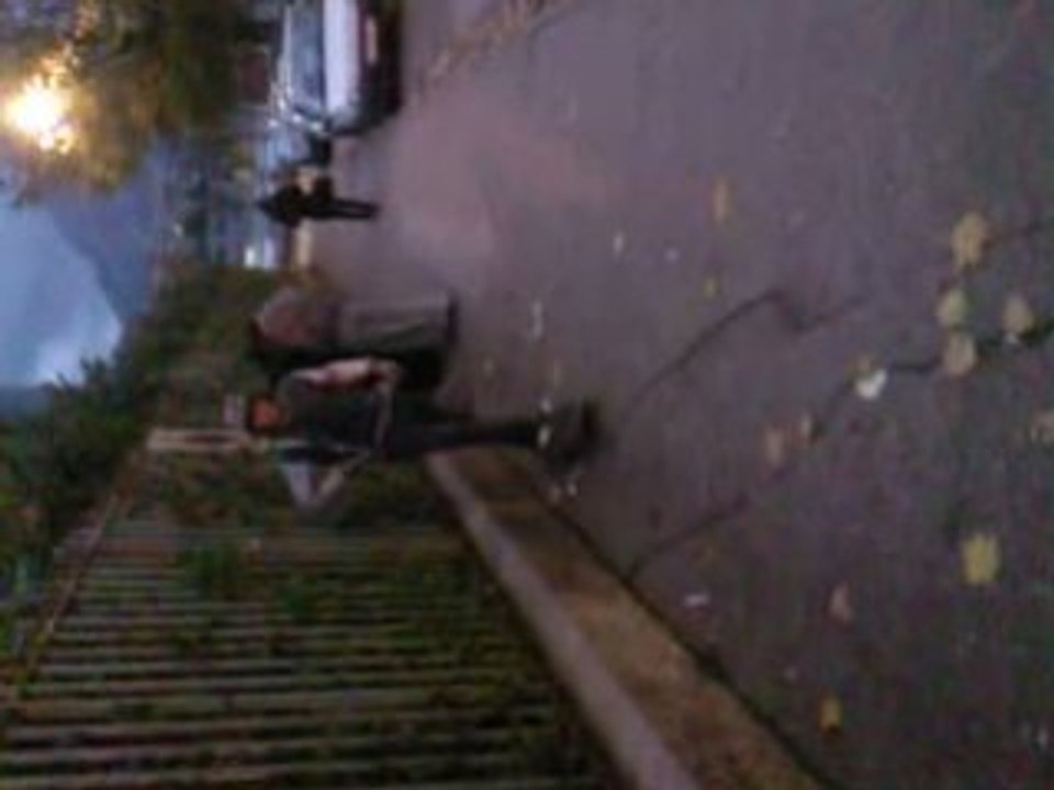 figure skate zarbi