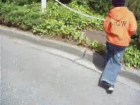 16 régis a suivre, mdr