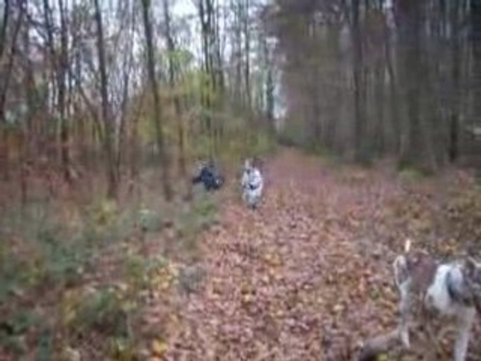 Capturées 2008-11-12 00007