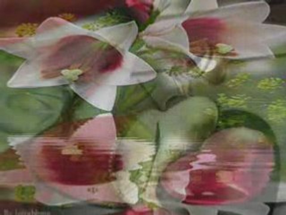 Pokochaj mnie w ten letni dzień.