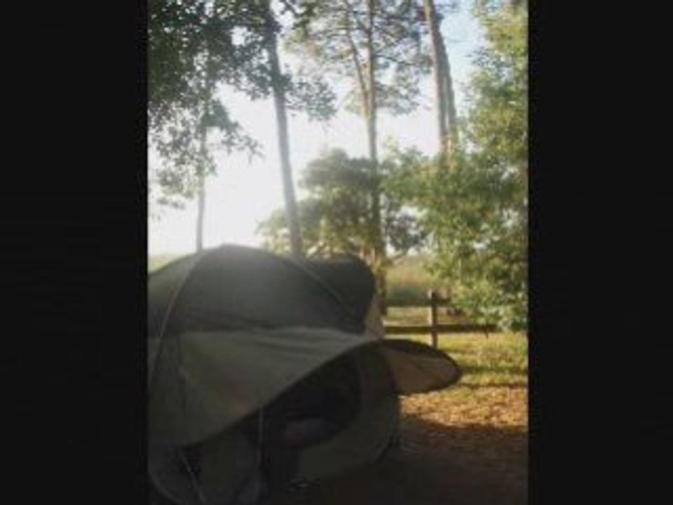 Ma voisine (Mankeli)