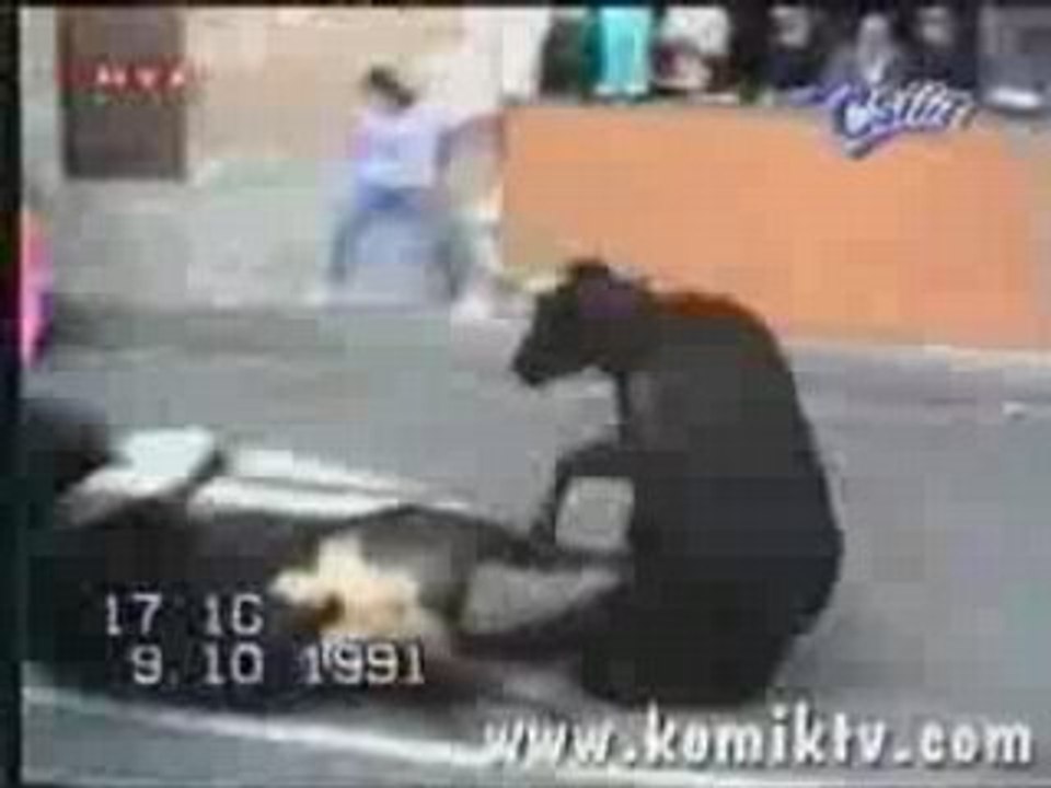 Boğaların tos
