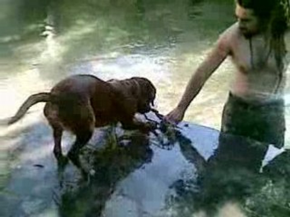 le rasta blanc et son chien