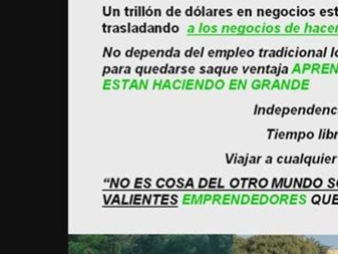 negocios desde su hogar I parte