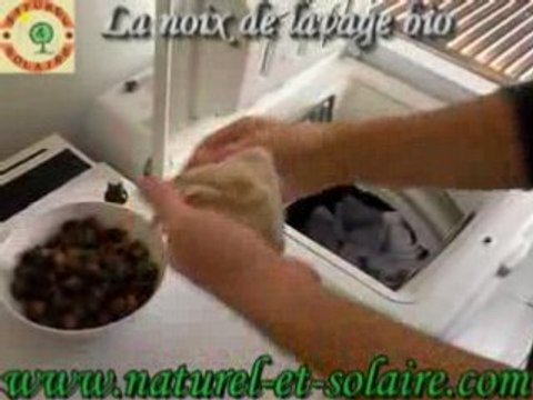 La noix de lavage, une lessive bio 100% naturelle!