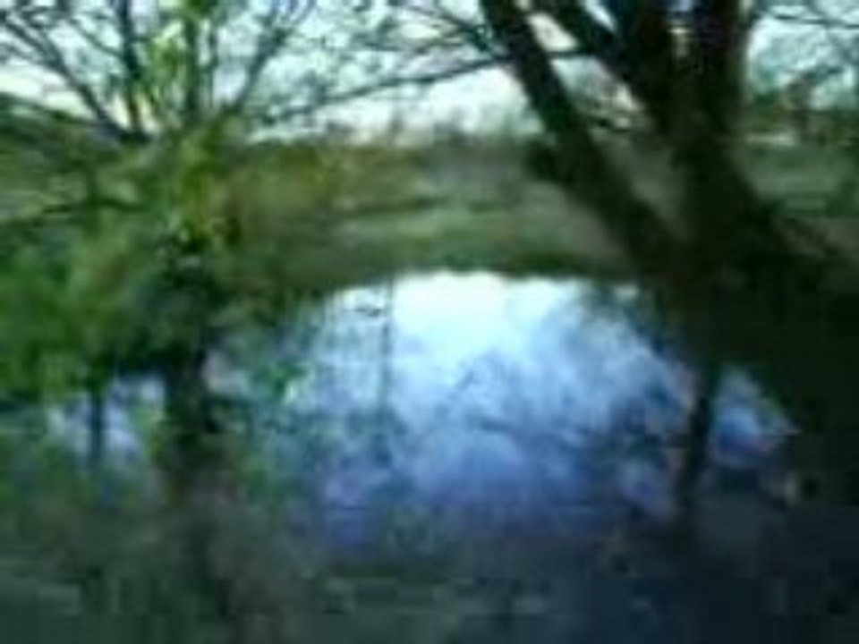 MOV00068