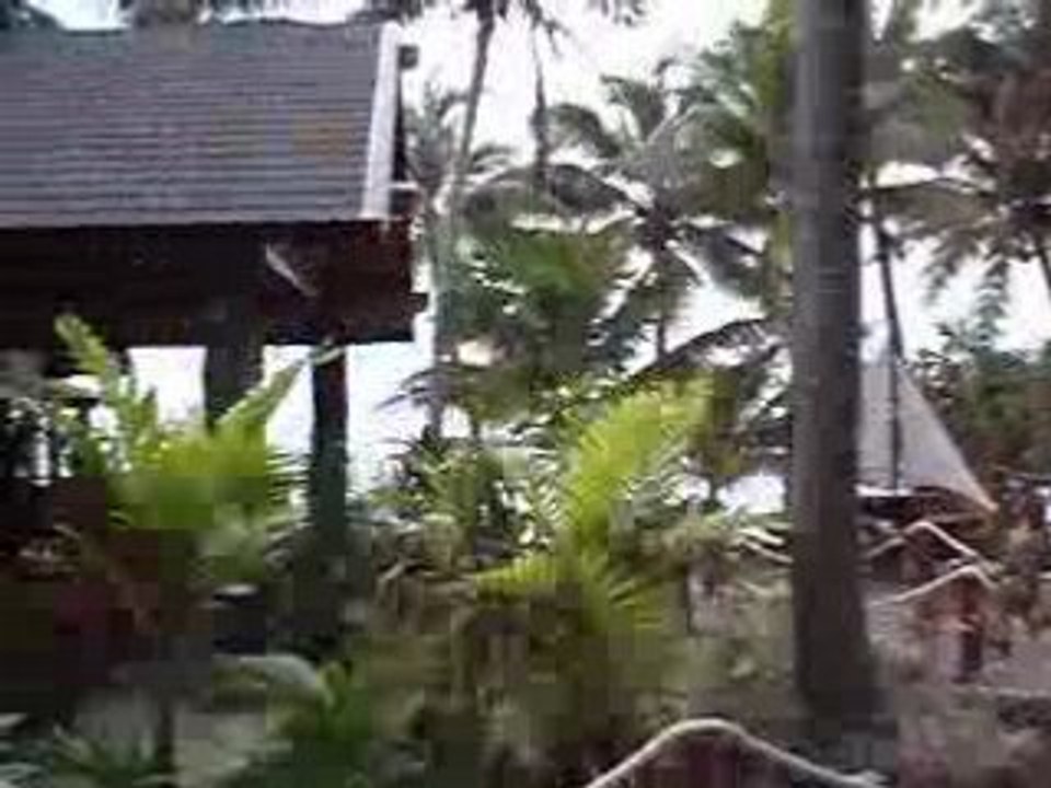 vélomoteur à l'île des pins