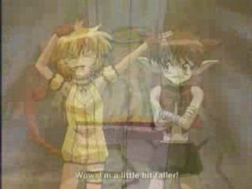 Tokyo_Mew_Mew]_-_Indiana_Purin