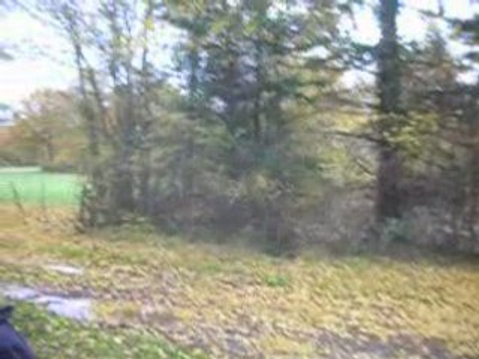 Paysage d'automne à Jeu-les-bois