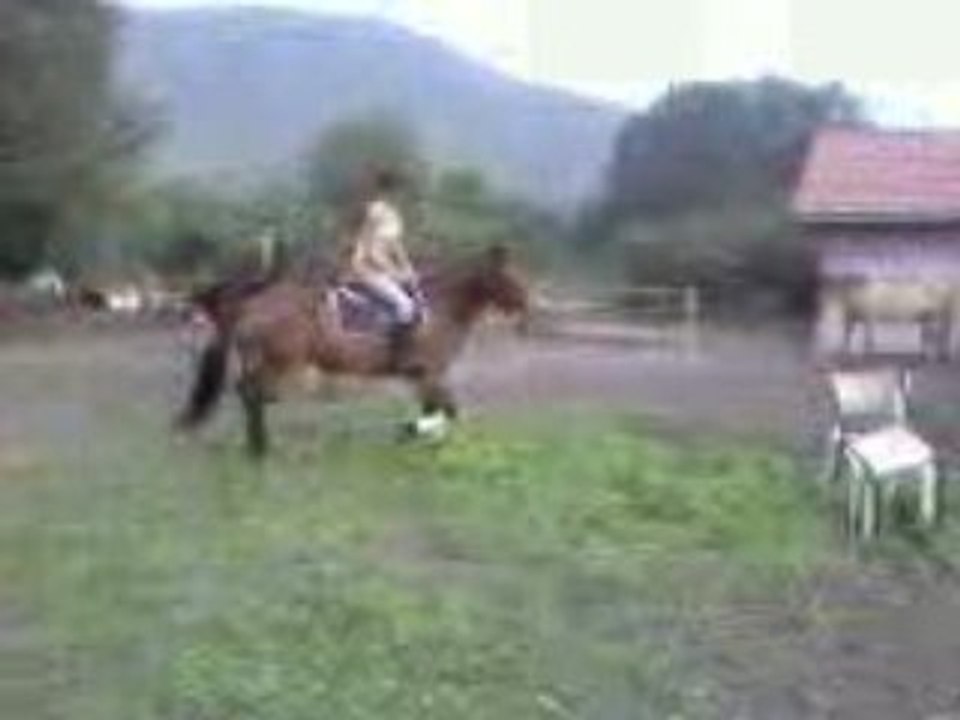 Saut d'obstacle