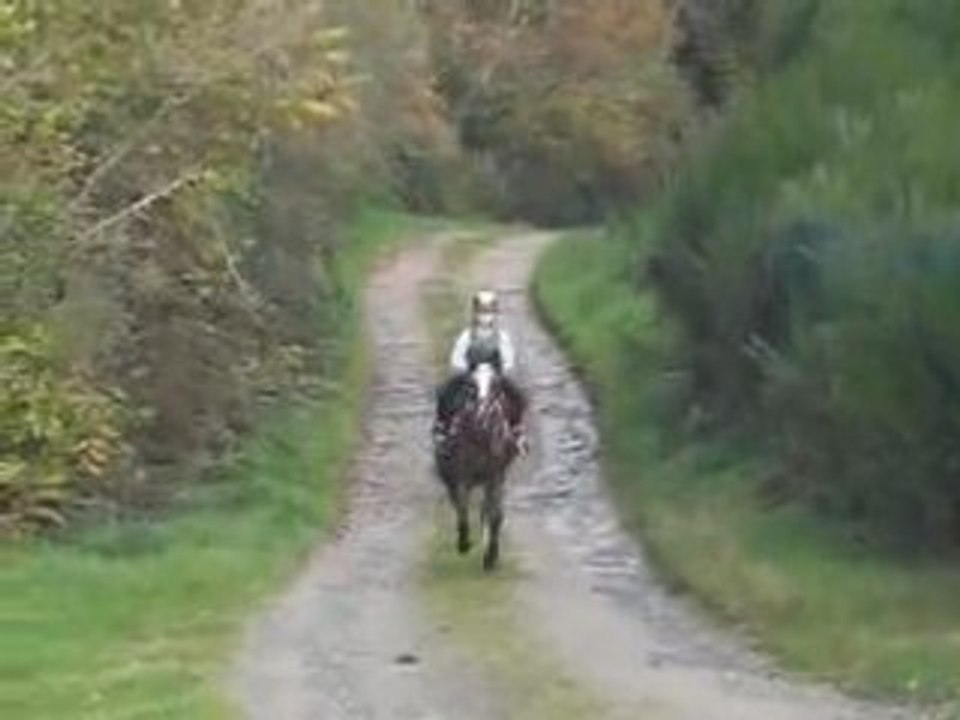 Petit galop dans le chemin