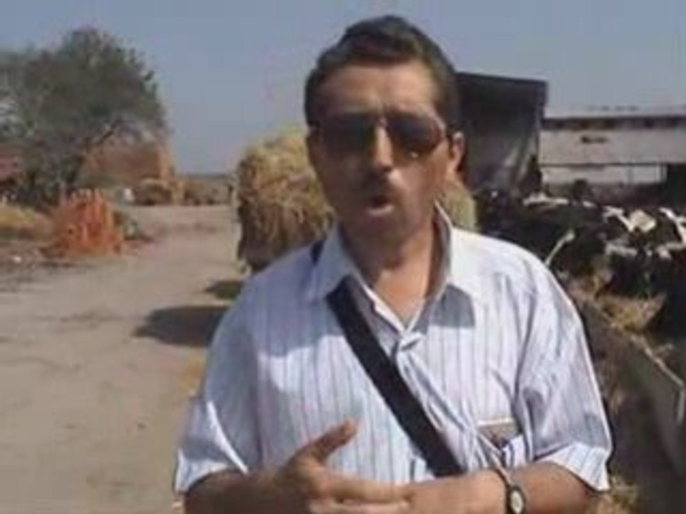 Köteyli Köyü Hayvan Çiftliği Gönen