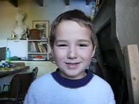 Ethan : Une souris verte