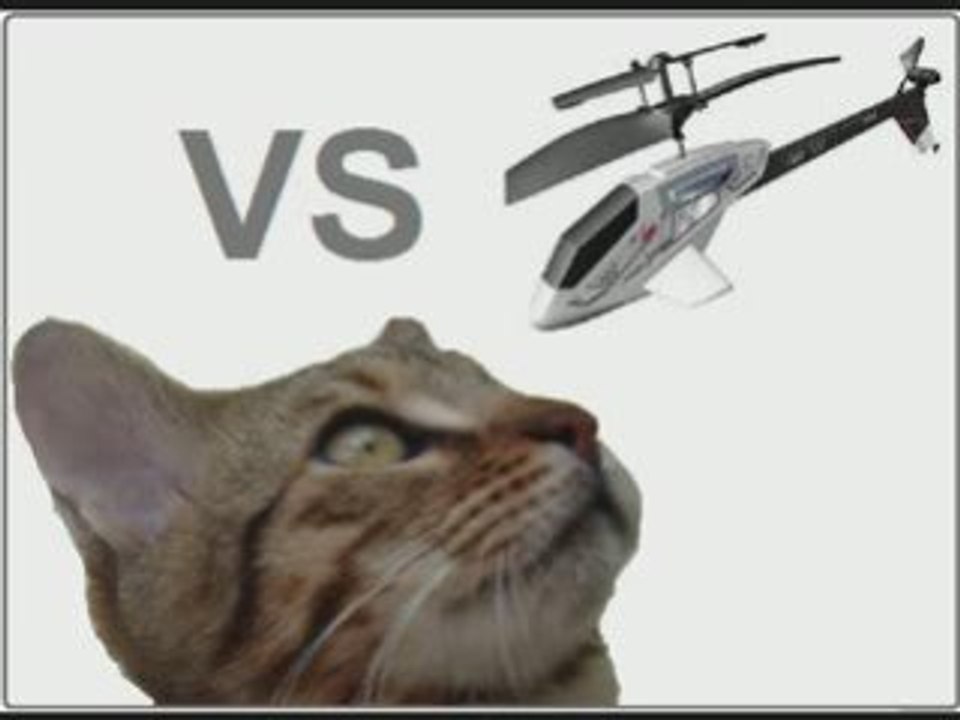 Chat VS Picooz