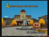 Mario Kart Wii/DS Delfino Square