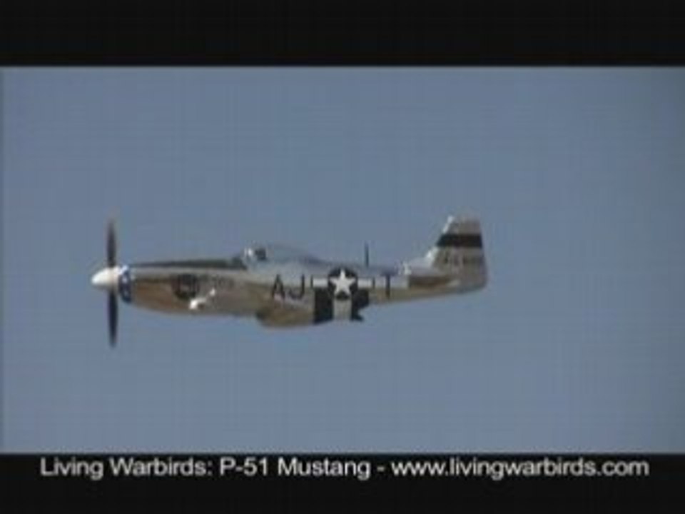 P-51 Mustang "Short-Fuse-Salle" - Living Warbirds