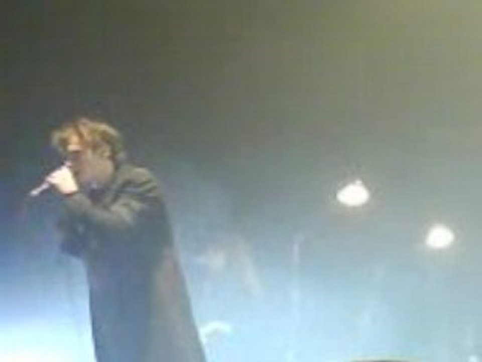 Raphael concert 11 novembre 2008 "6eme étage"