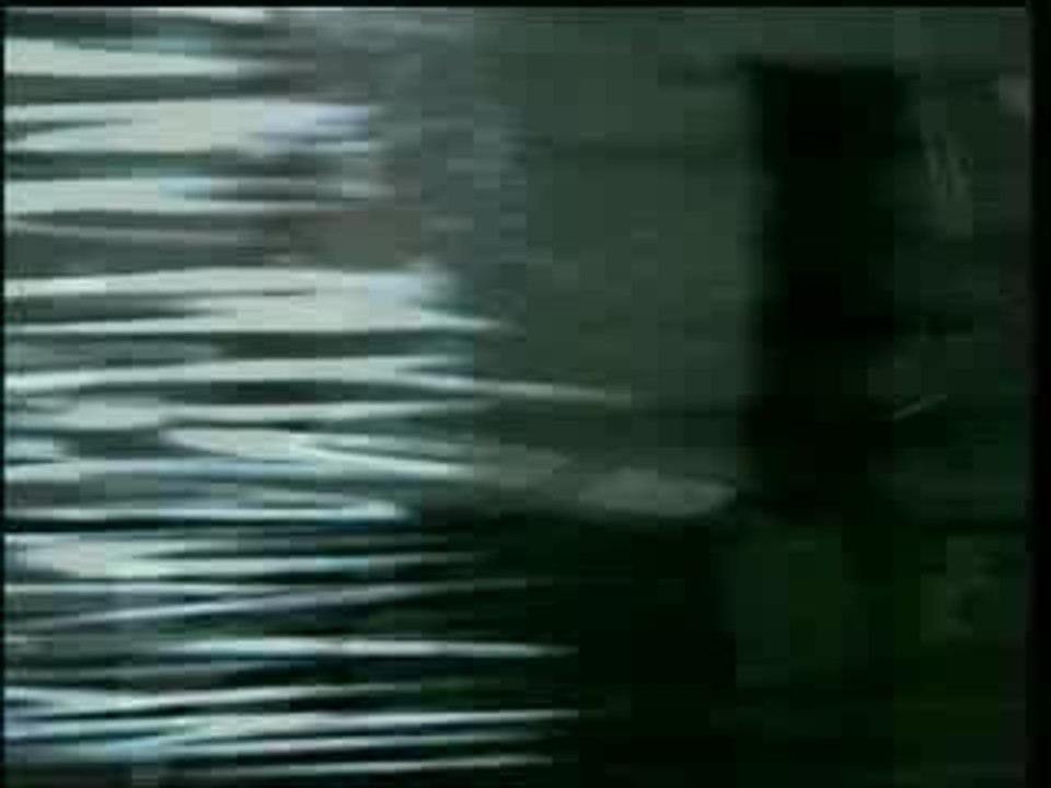 Room 204 - katharsis99