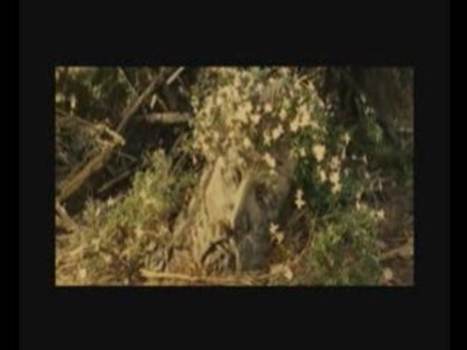 May It Be - Le Seigneur des Anneaux