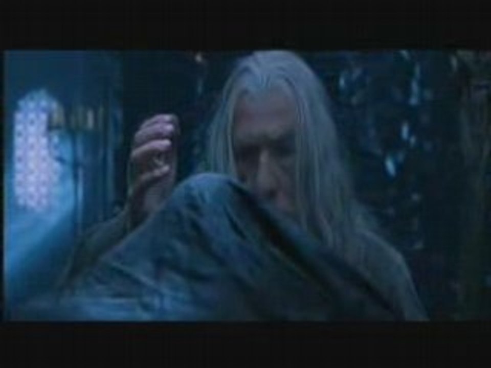 La Vilaine Bague le Conseil des Gentils Sorciers