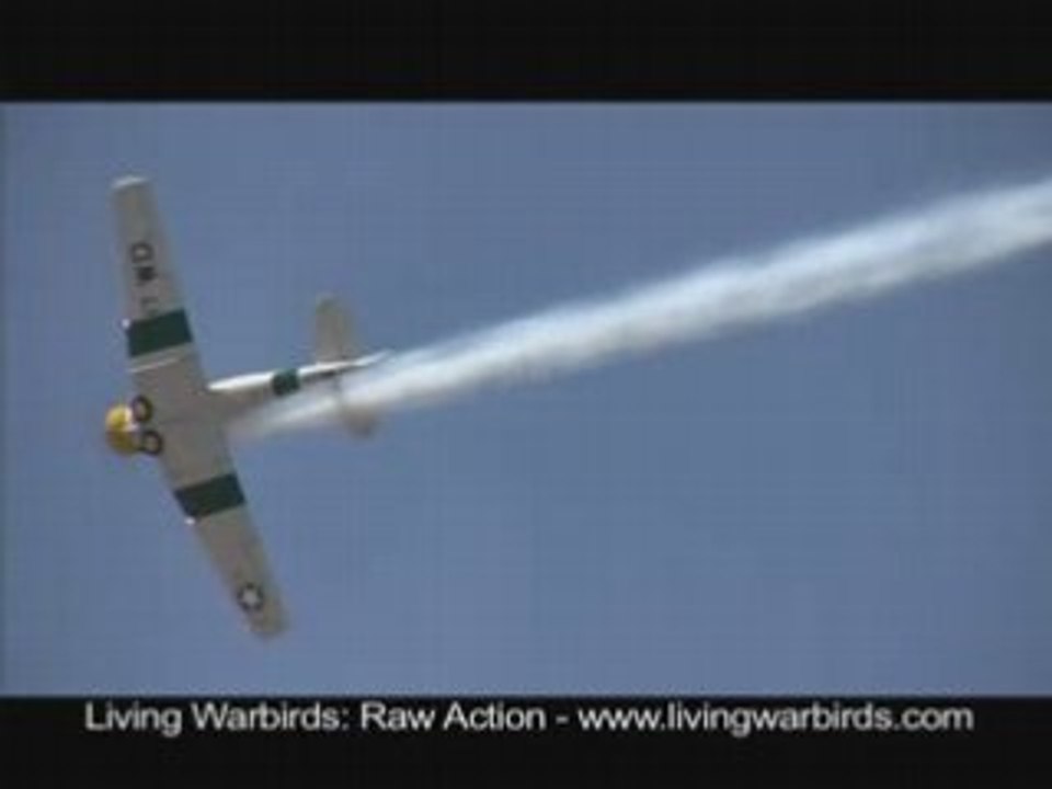 North American SNJ-5 "War Dog" - Living Warbirds