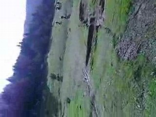 Pamukova kross yarışı - 6