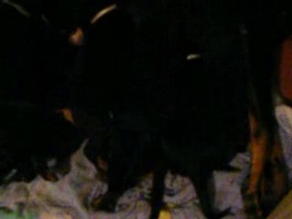 Super tétée