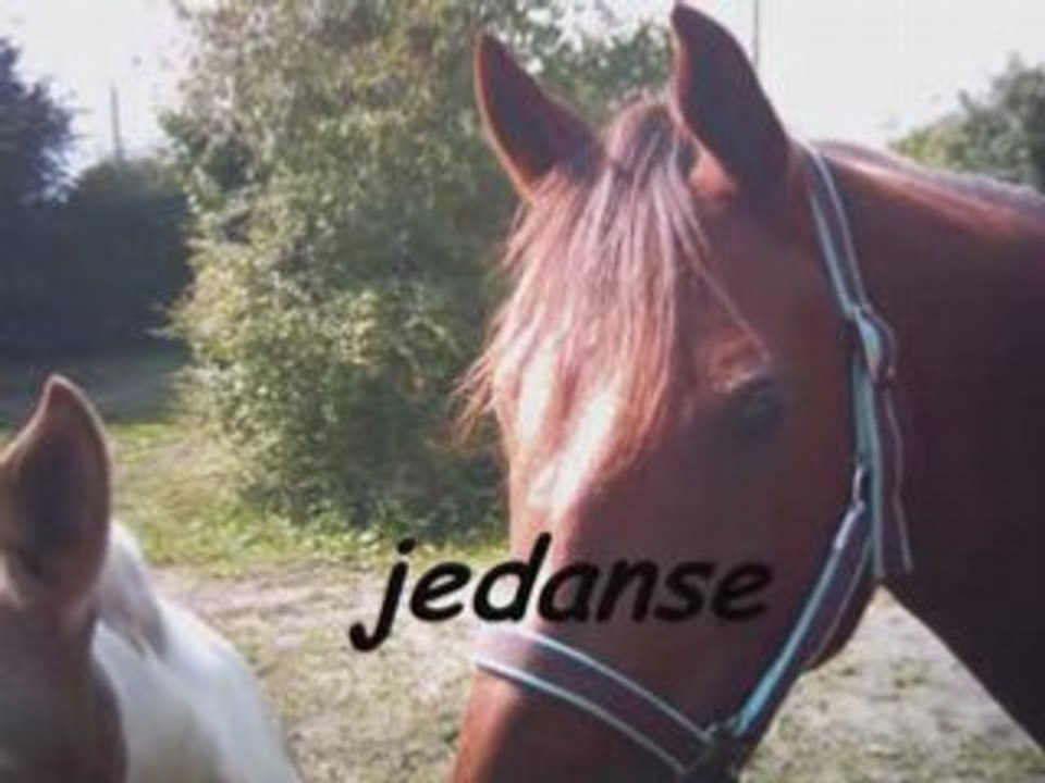 Foindezoix