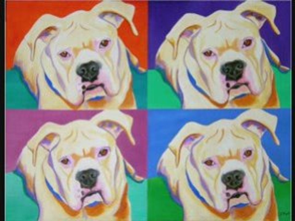 Animal Artist Jody Wright