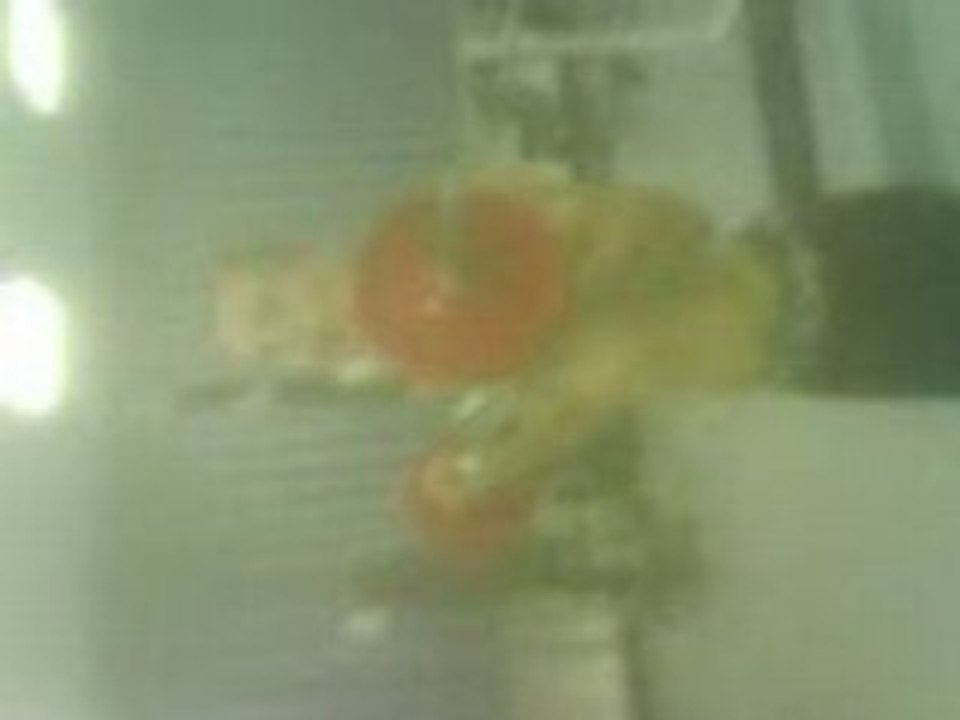 tibo imite encore vendetta